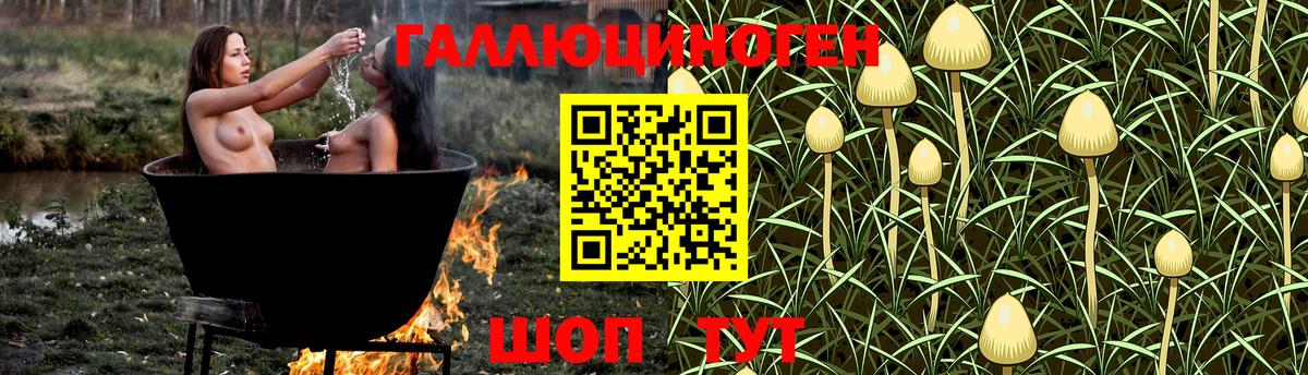 Галлюциногенные грибы GOLDEN TEACHER Воркута